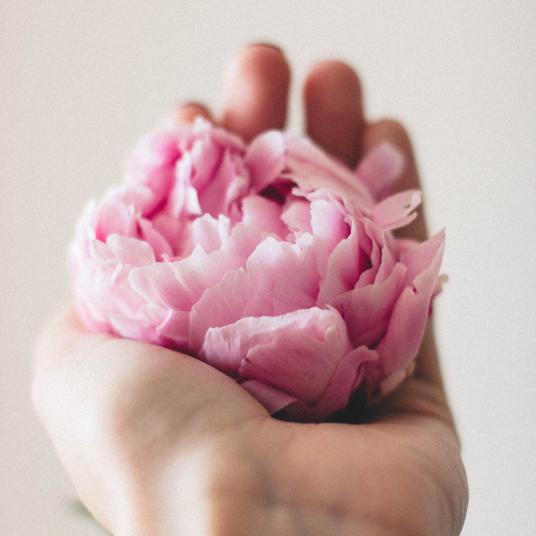 Antioxidant Moisturiser