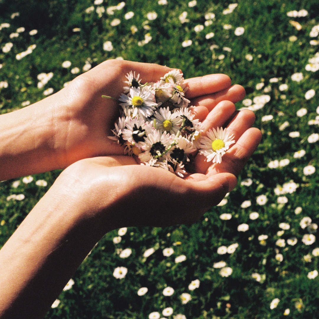 Skin Soothing Moisturiser